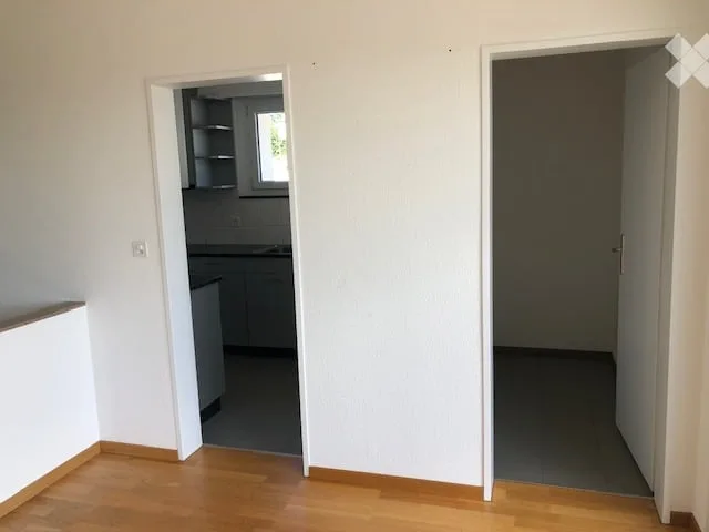 2.5-Room Attic Apartment Allschwil