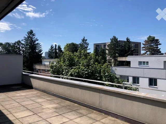 2.5-Zimmer Attika-Wohnung Allschwil