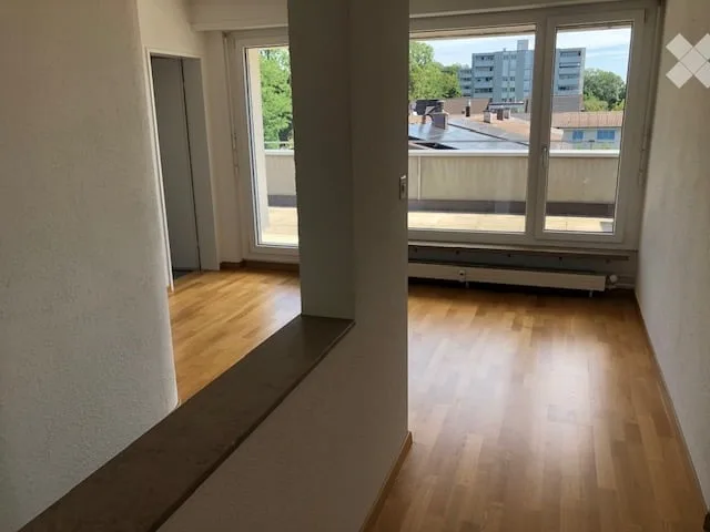 2.5-Room Attic Apartment Allschwil