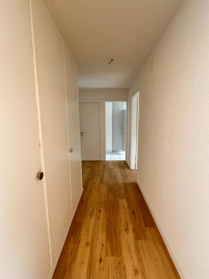 Incantevole appartamento 2 locali a Zürich-Albisrieden