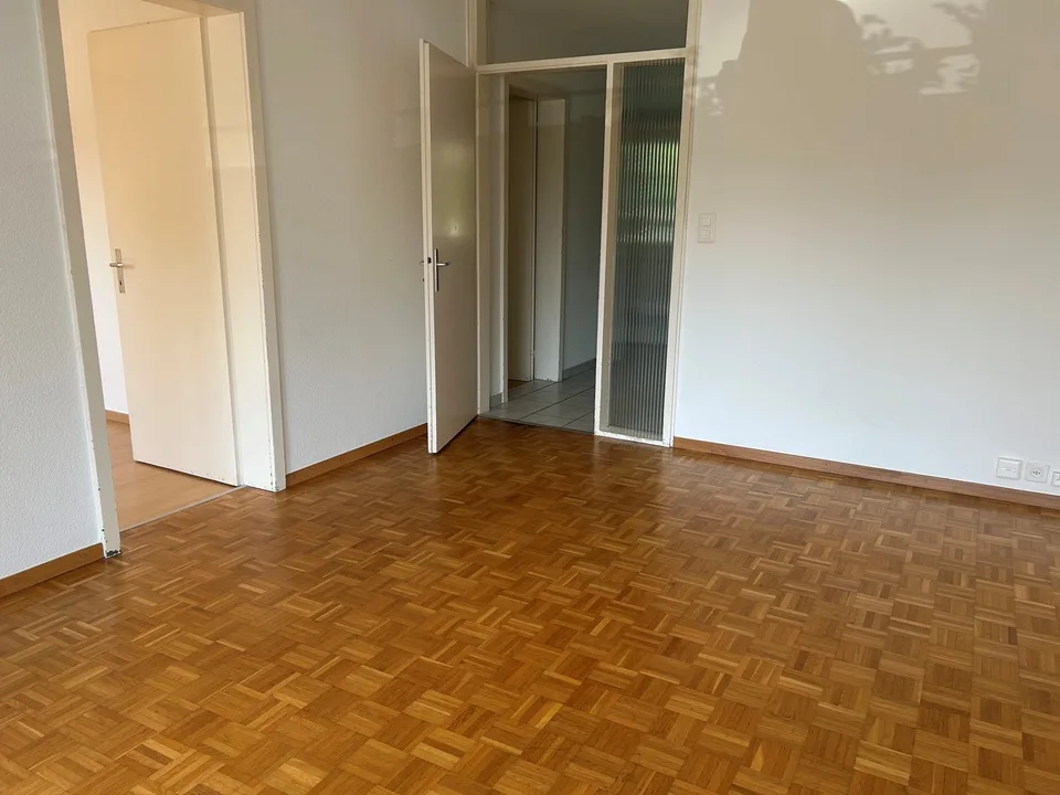 Cozy 4-room apartment in Zofingen