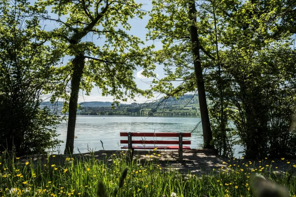 Letzte Gelegenheit - Ihr Zuhause mit Blick zum Hallwilersee