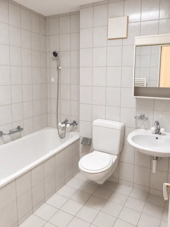 1er mois gratuit ! Appartement spacieux 4,5 pièces en mansarde à Zunzgen – photo 11 sur 14