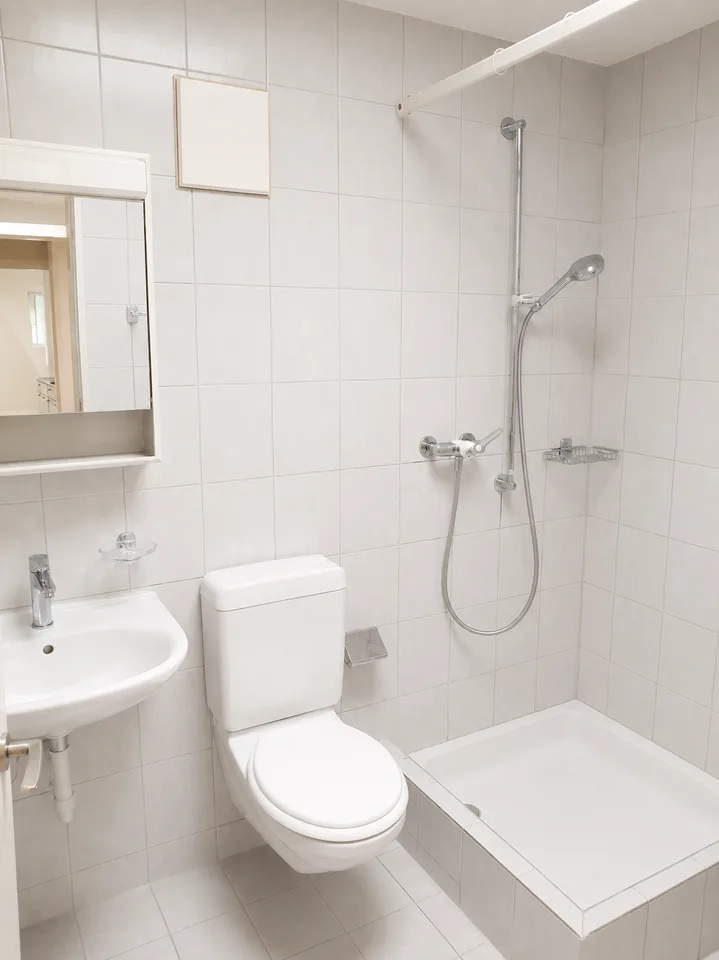 1er mois gratuit ! Appartement spacieux 4,5 pièces en mansarde à Zunzgen – photo 10 sur 14