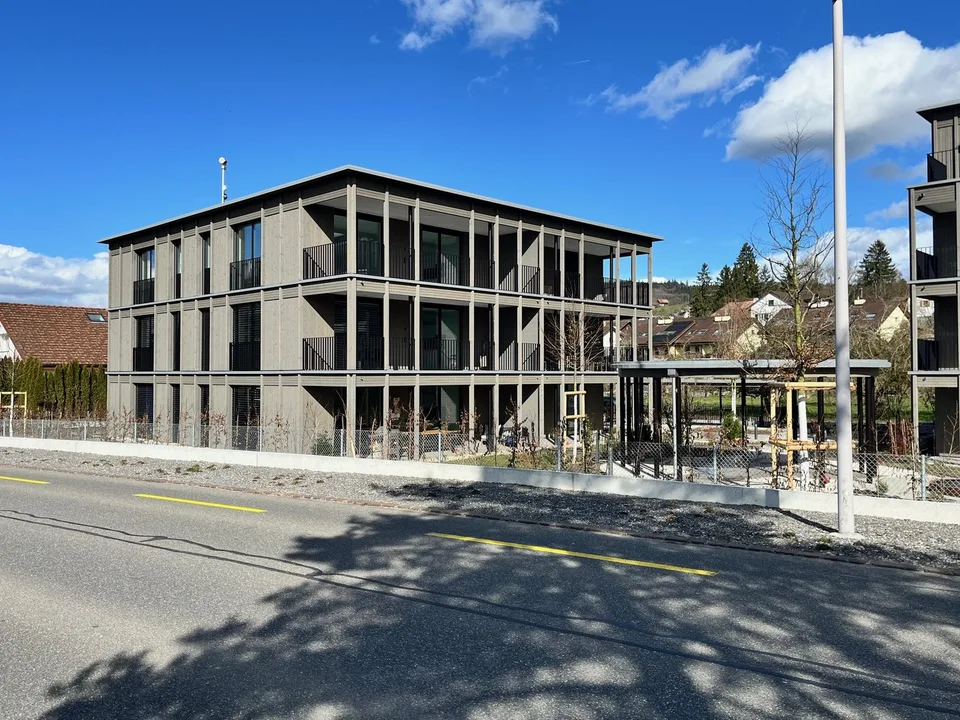 Modern 3.5-room apartment with lake view in Seengen