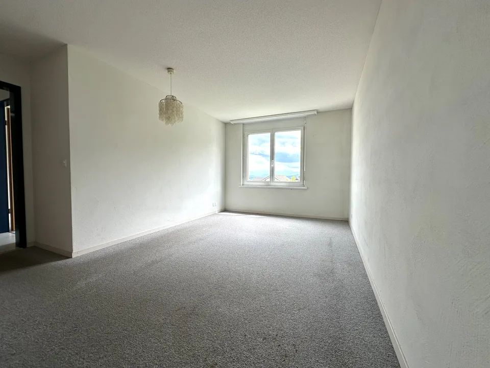 4.5-room apartment with top lake and Alpine views!