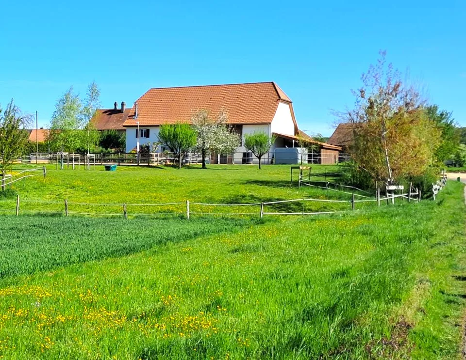 Offre exceptionnelle et très rare - Magnifique ferme villageoise totalement rénovée sur 4'385 m²
