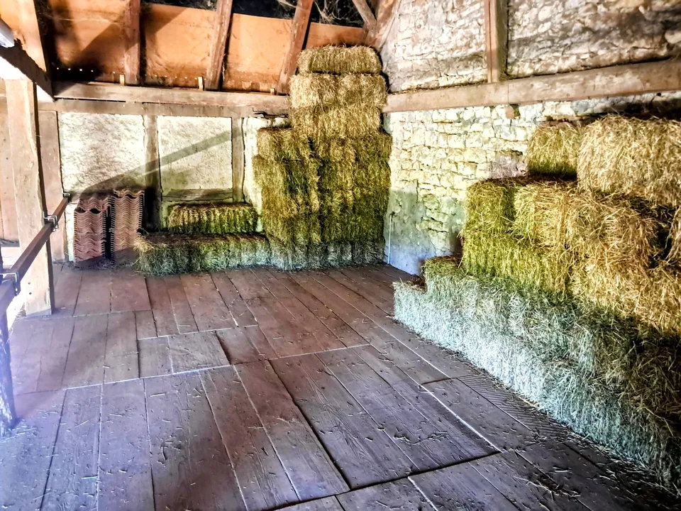 GROSSE PREISSENKUNG - Sehr seltenes Objekt - Wunderschönes, komplett renoviertes Bauernhaus auf 4'385 m² – Foto 10 von 26