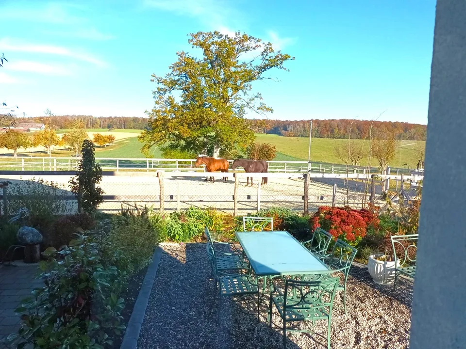 GROSSE PREISSENKUNG - Sehr seltenes Objekt - Wunderschönes, komplett renoviertes Bauernhaus auf 4'385 m² – Foto 16 von 26