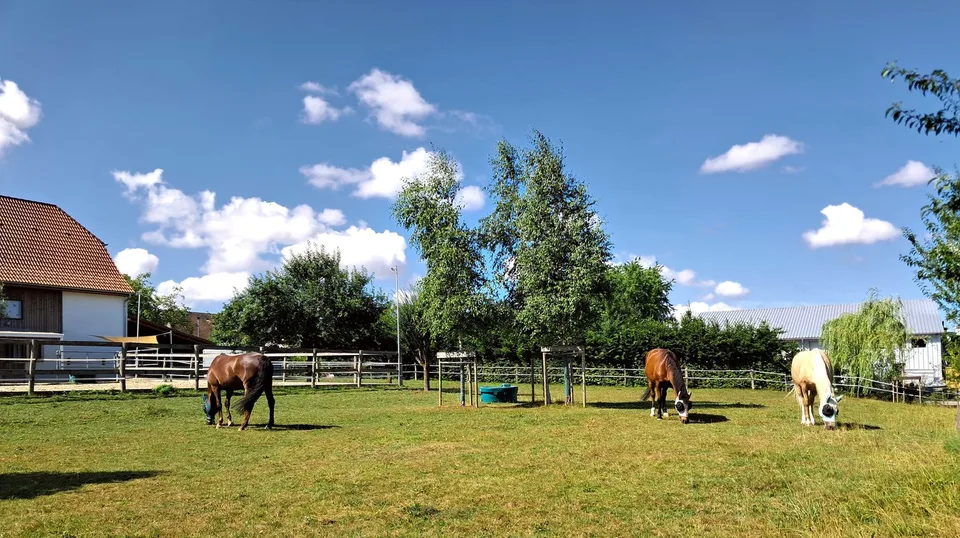 Exceptional and very rare offer - Magnificent village farm completely renovated on 4'385 m²