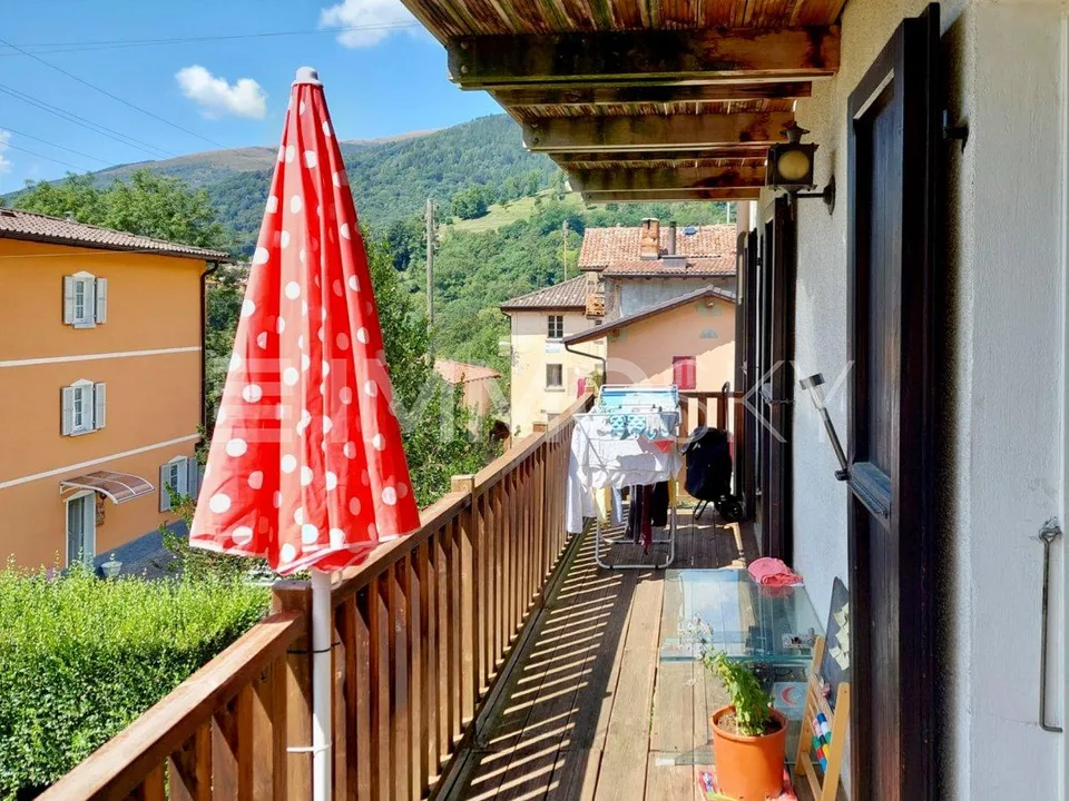 Multi-family house at a super price