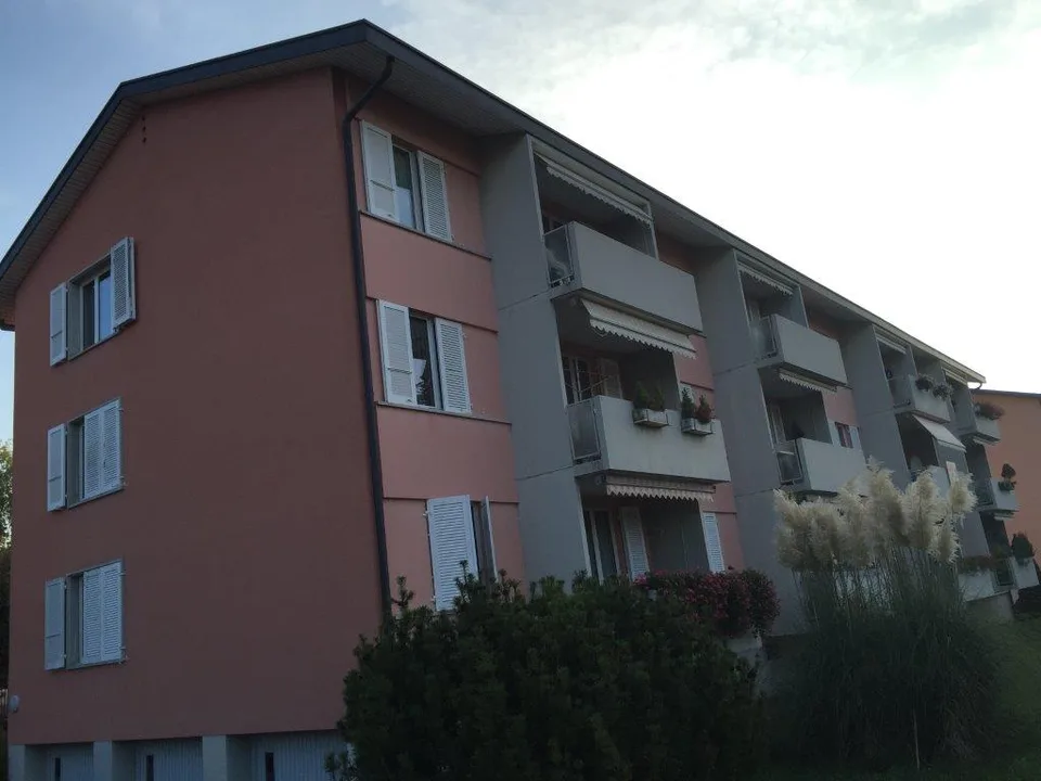 Charmante 3 1/2-Zimmerwohnung, 1. Stock links