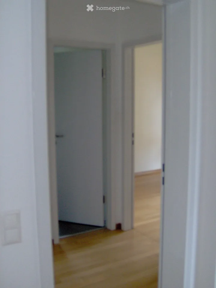 Massagno apartment for rent