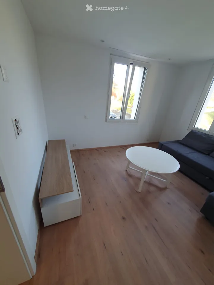 Möblierte 2.5-Zimmer-Wohnung in Zwillikon (2. Stock)