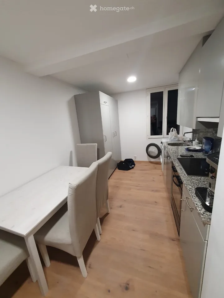 Möblierte 2.5-Zimmer-Wohnung in Zwillikon (2. Stock)