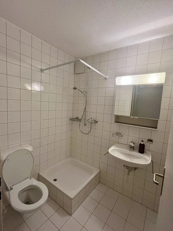 Charmante 4.5-Zimmerwohnung nahe Zihl zum Mieten – Foto 10 von 16