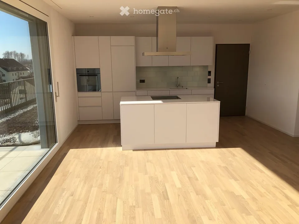 Moderne 4.5-Zimmer-Attikawohnung mit 60m2 grosser Terrasse