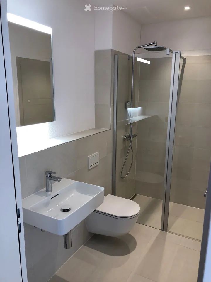Moderne 4.5-Zimmer-Attikawohnung mit 60m2 grosser Terrasse