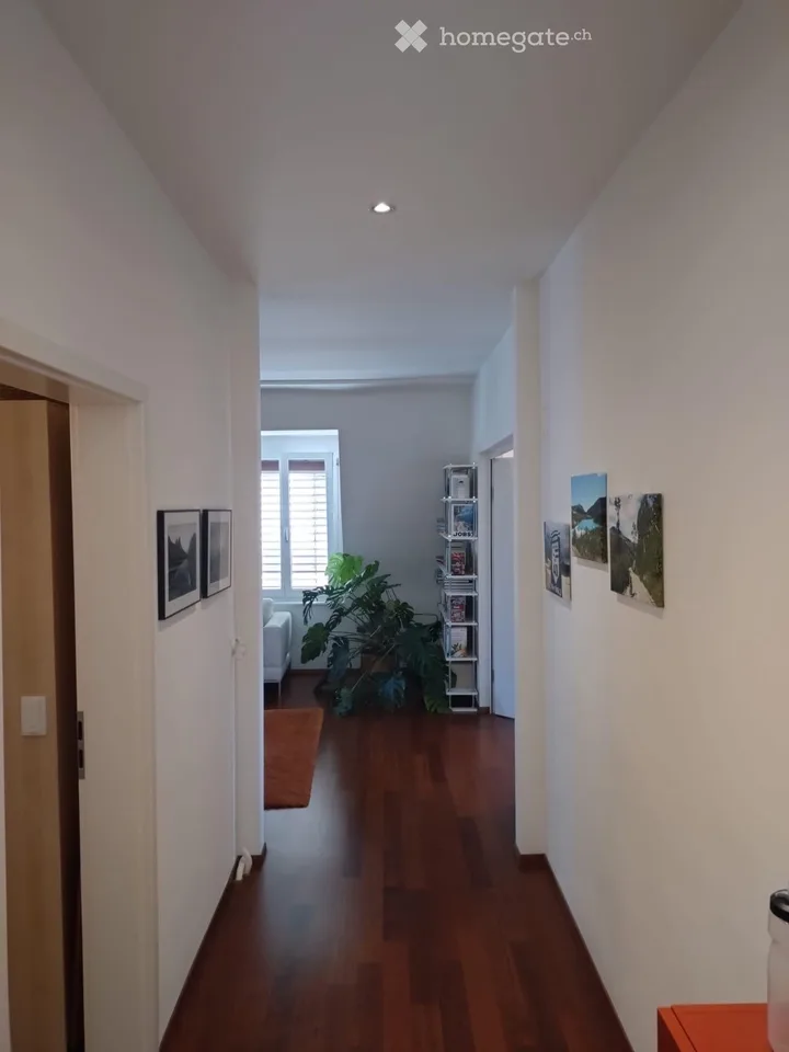 Appartamento luminoso 3.5 locali 100m2 con terrazza sul tetto 82m2 e bella vista a Zürich-Wiedikon