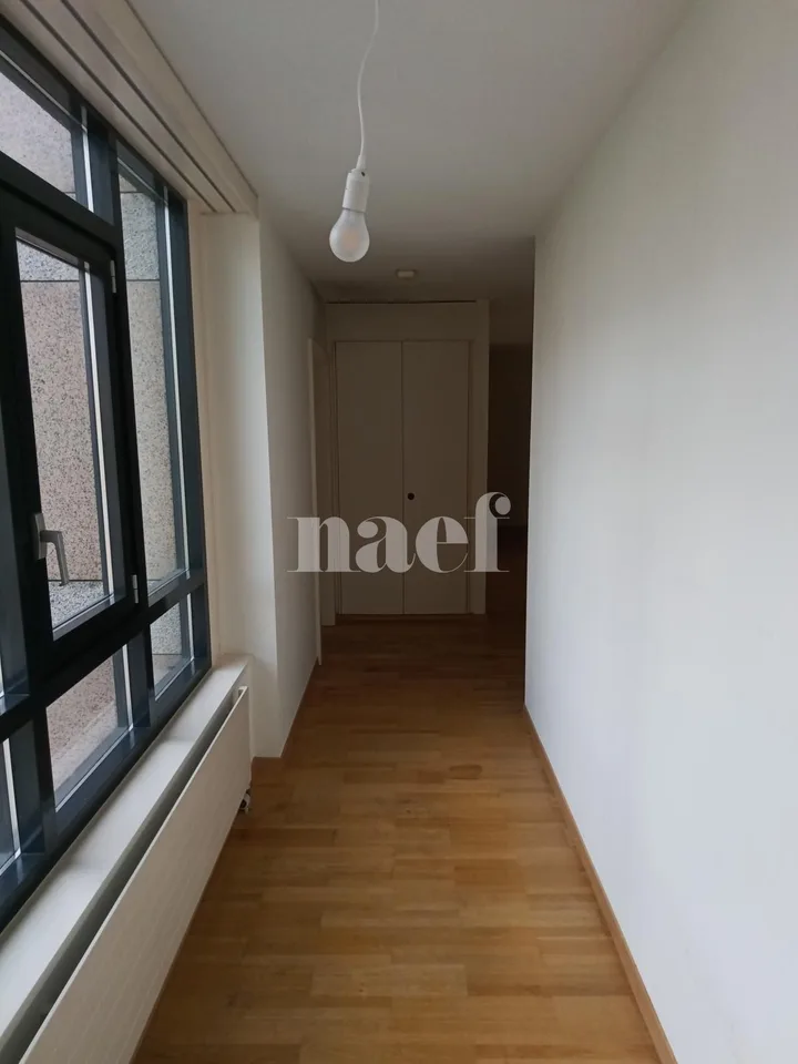 Appartamento di 5 locali con ampio balcone a Carouge