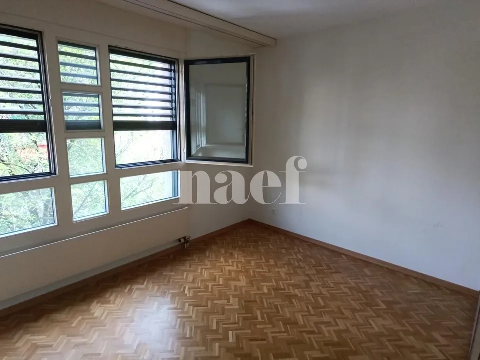 Appartamento di 5 locali con ampio balcone a Carouge