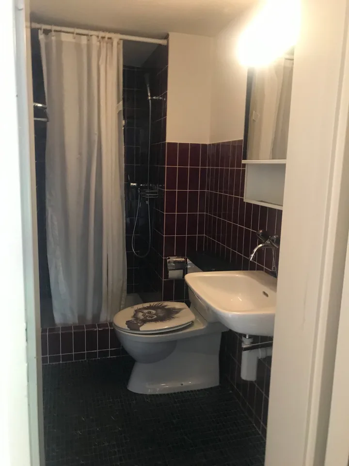 Cozy 1-room apartment in the east of St. Gallen city