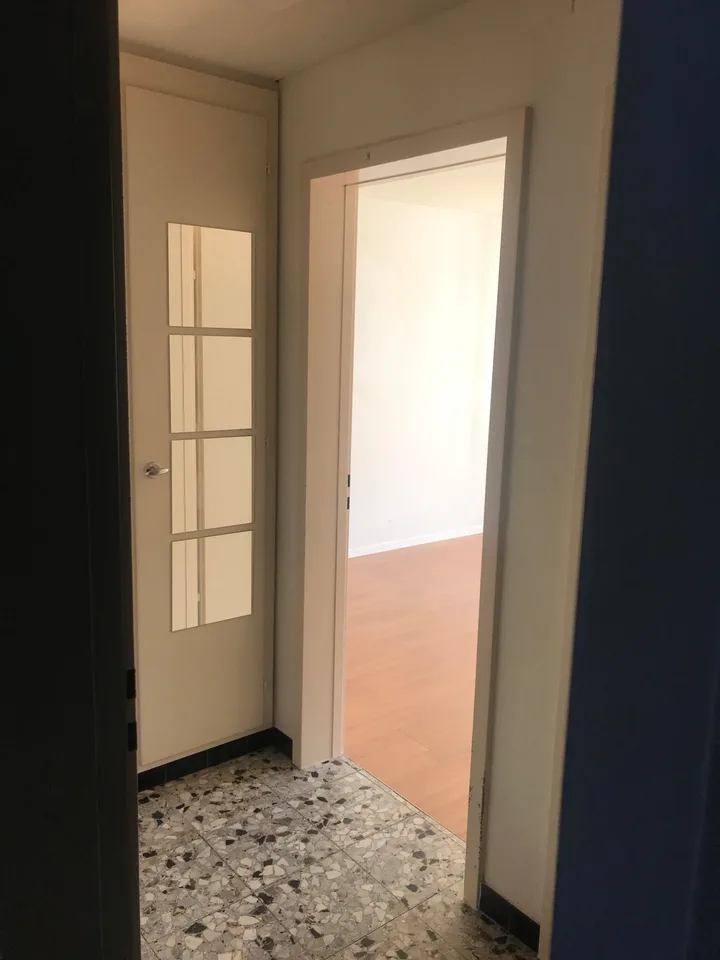 Cozy 1-room apartment in the east of St. Gallen city