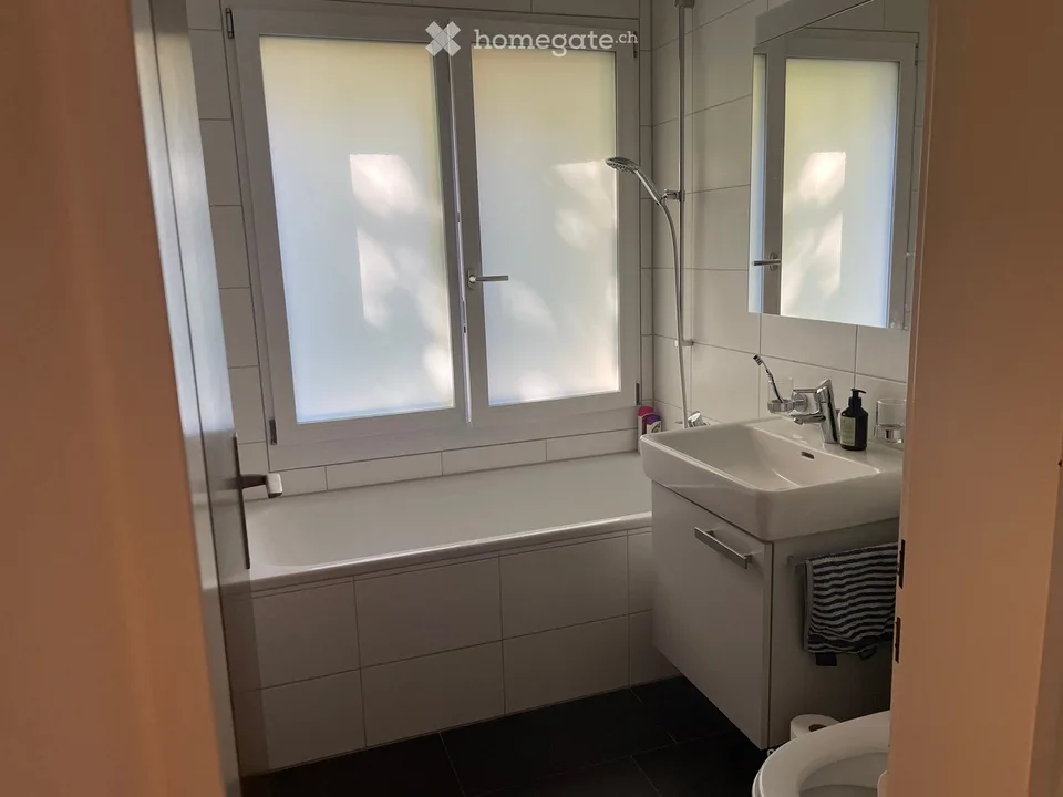 Camino, vasca da bagno con finestra, terrazza & giardino a Küsnacht