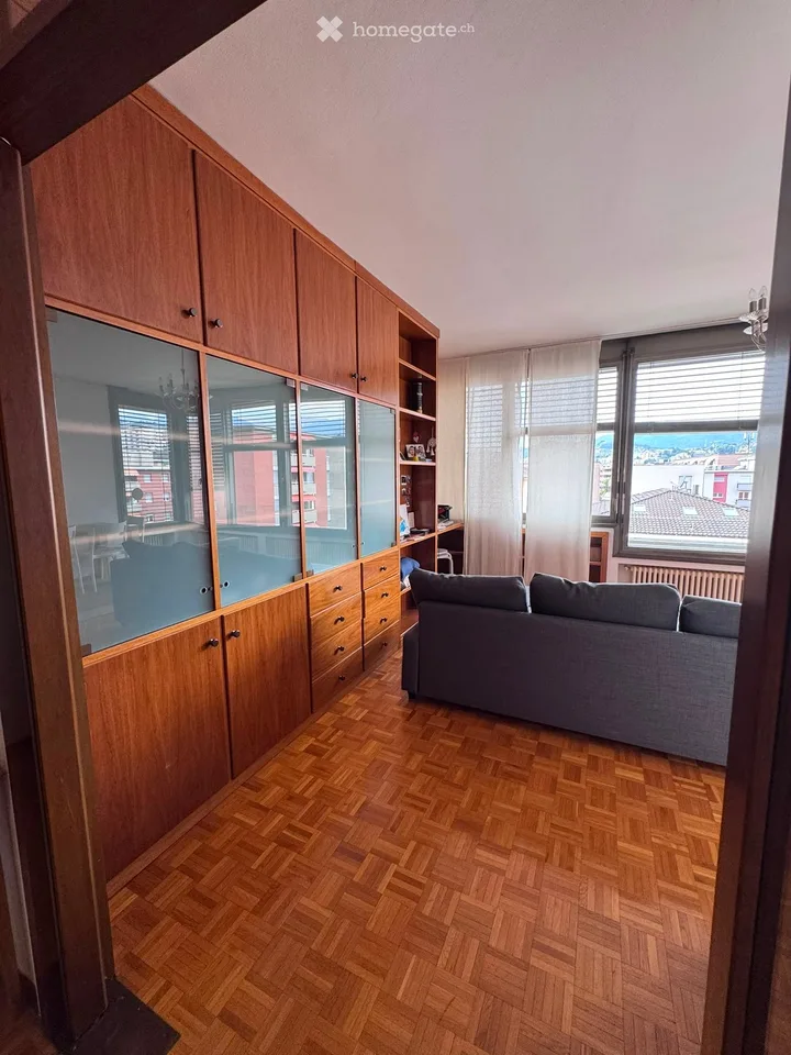 Two-and-a-half-room apartment (2.5) furnished-Lugano Cassarate