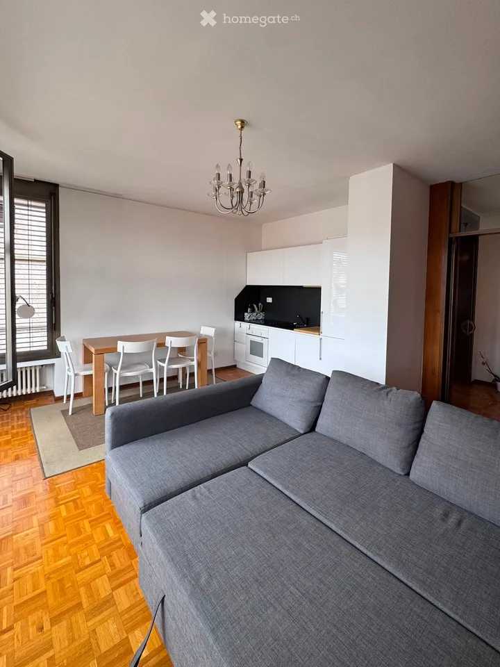 Two-and-a-half-room apartment (2.5) furnished-Lugano Cassarate