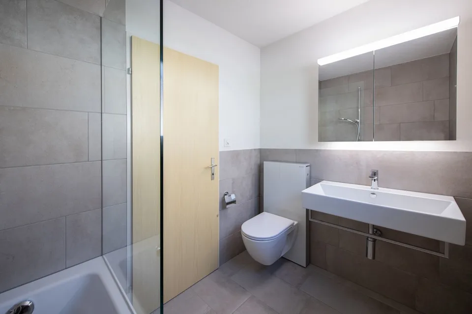 4.5-room apartment on the 1st floor (without elevator) - very close to nature