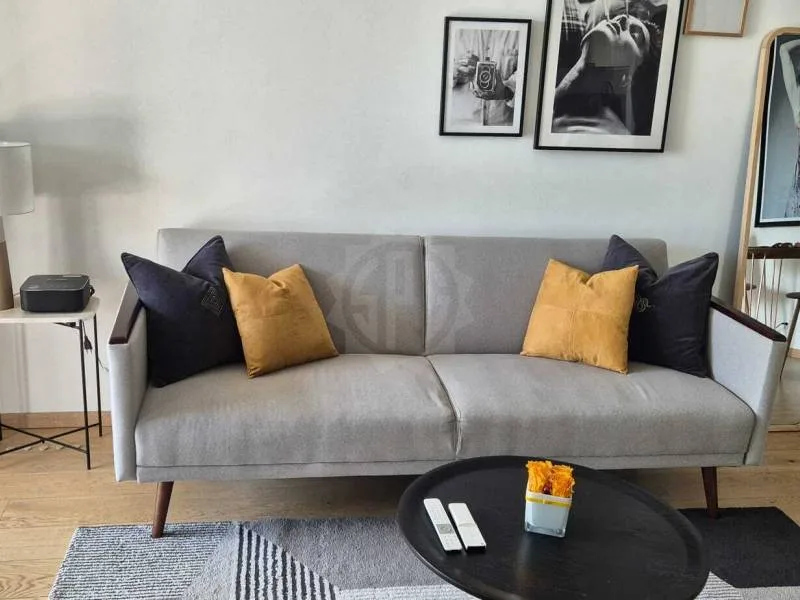 Magnificent apartment - Geneva