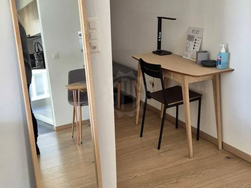 Magnificent apartment - Geneva