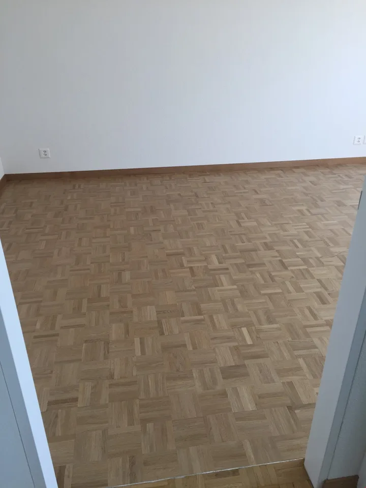 Charming 1.5-room apartment with balcony in Jona