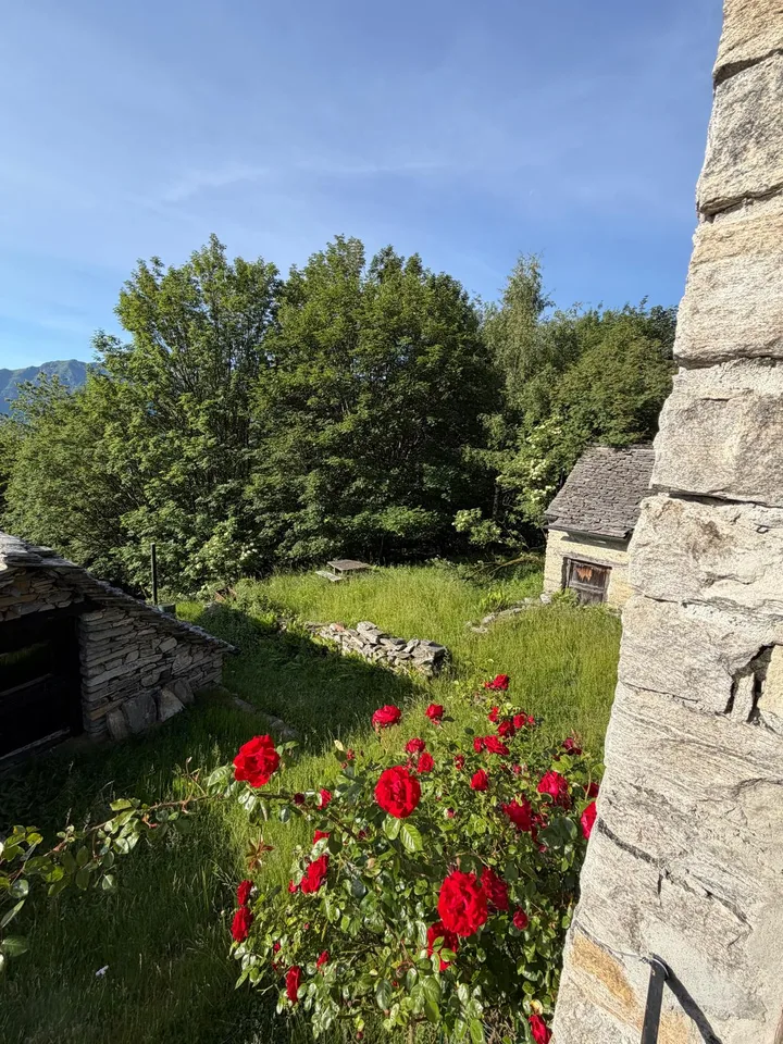 Einzigartige Rustici - warten auf dem Monte Comino auf Sie! – Foto 11 von 13