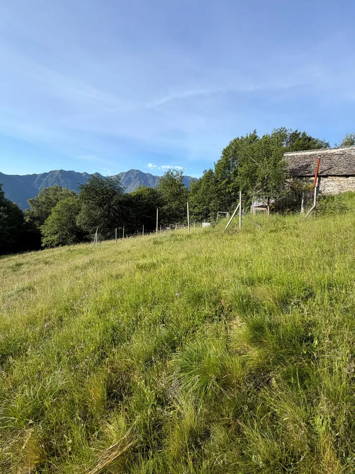 Einzigartige Rustici - warten auf dem Monte Comino auf Sie! – Foto 10 von 13
