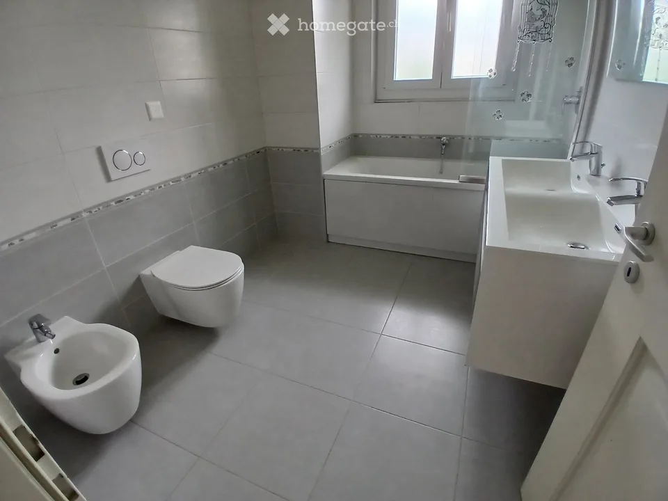 Renting bright apartment in sunny area