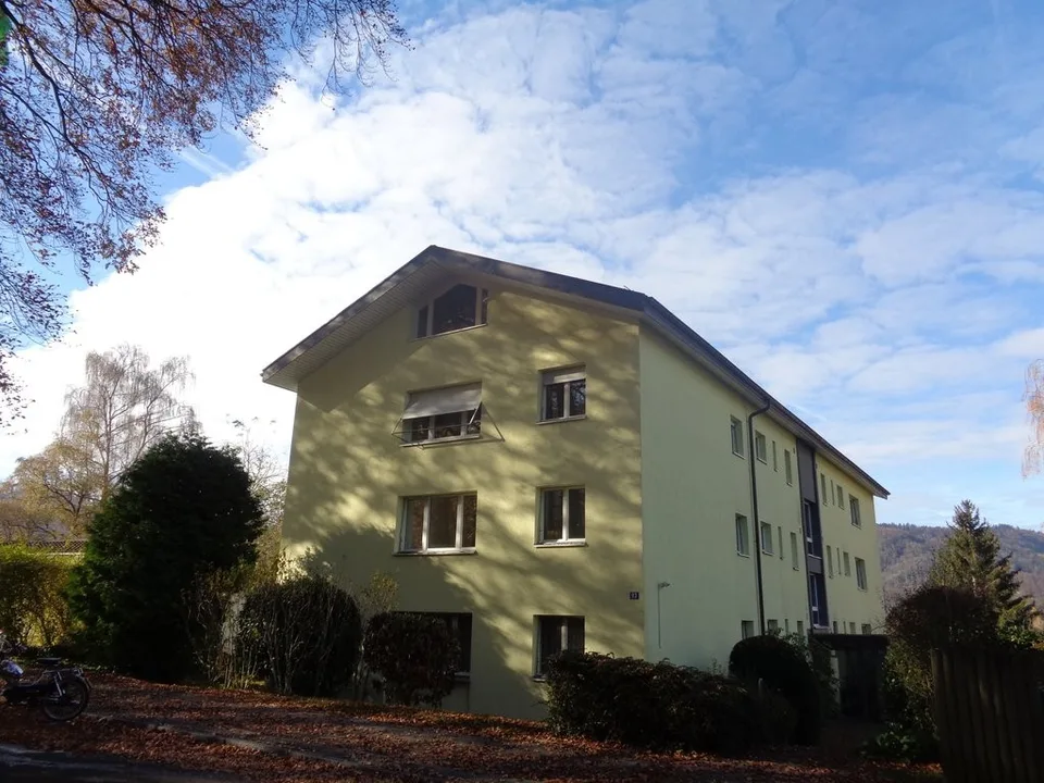 Grosszügige Wohnung mit Cheminée und Ausblick ins Grüne