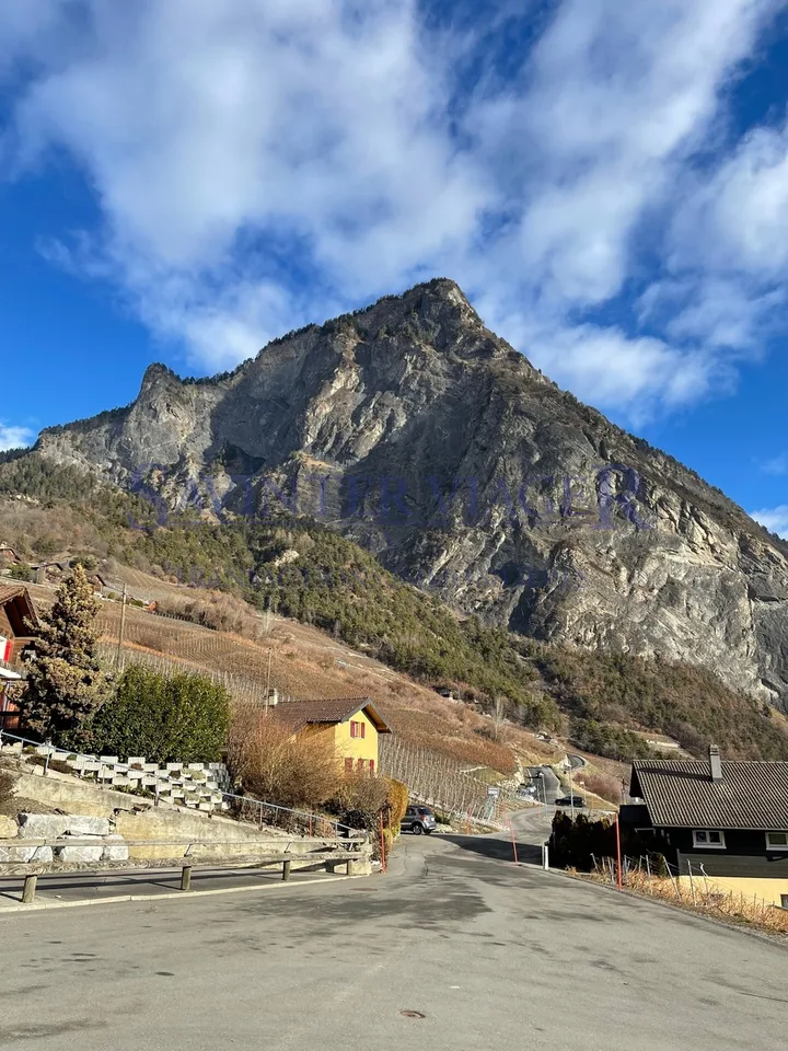 Chalet overlooking the valley in life annuity