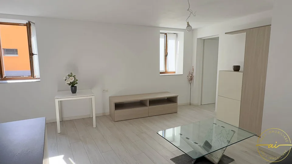 Cozy 3.5-room apartment in Bironico