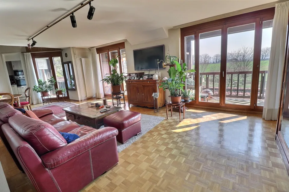 Magnificent attic duplex in viager, occupied without rent