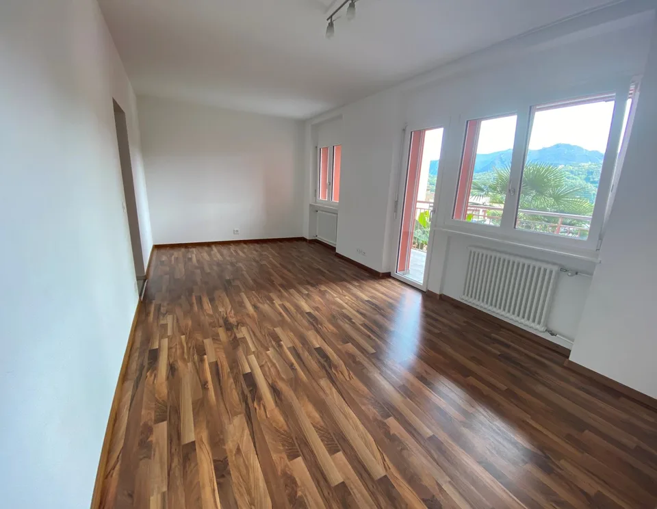 Available from September 2.5 rooms modern apartment for rent in Agno - strategic location