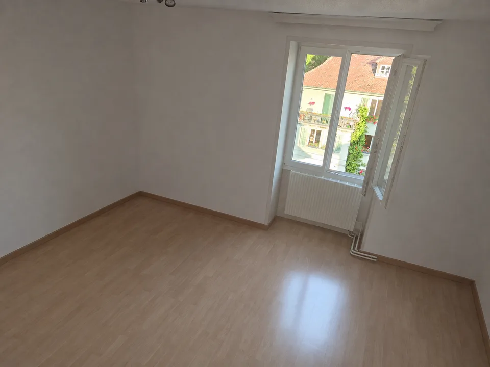 Charmante 3-Zimmer-Wohnung an der Maihofstrasse in Luzern