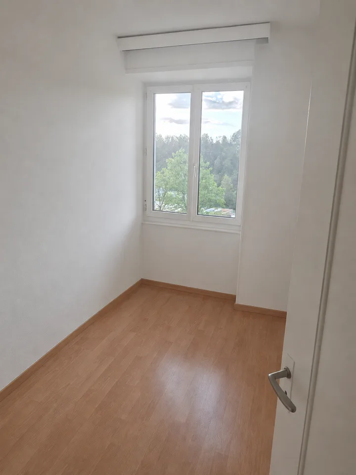 Charmante 3-Zimmer-Wohnung an der Maihofstrasse in Luzern – Foto 10 von 13