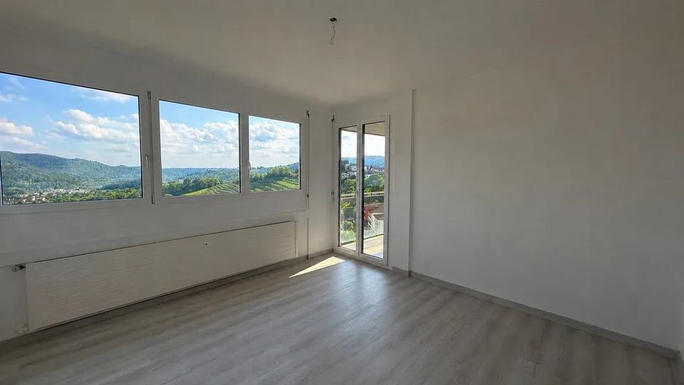 BIS ZU 3 MONATE KOSTENLOS - 4.5 Zimmer renoviert in Coldrerio