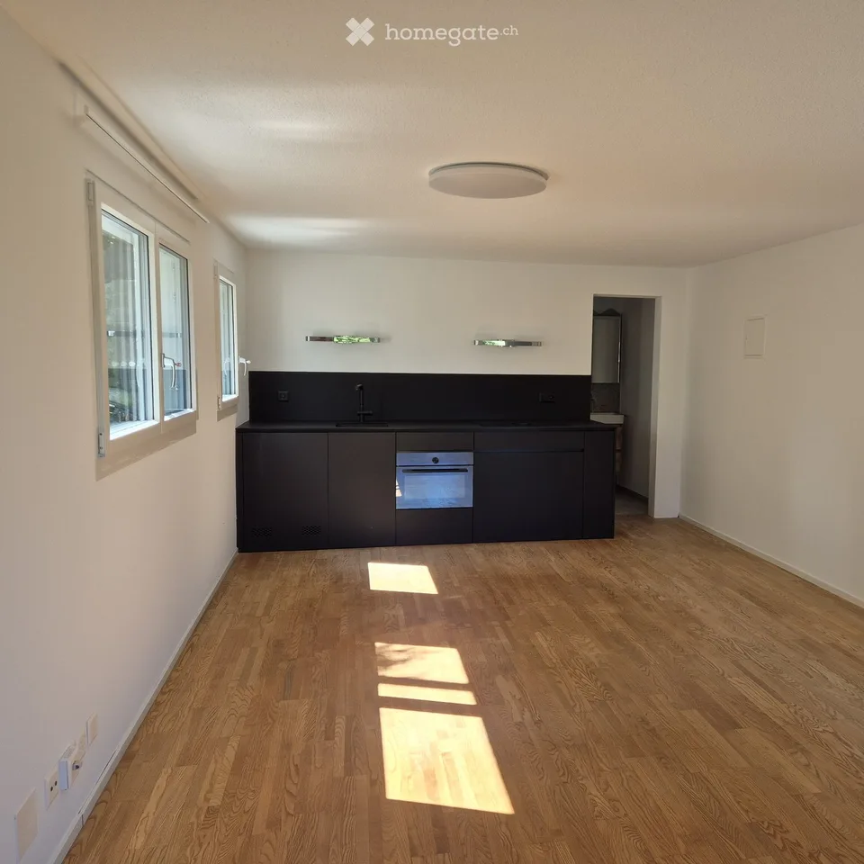 Wohnung in Stans mit Sitzplatz und Sicht auf Pilatus bei Abendsonne