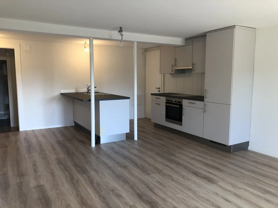 Bel appartement rénové au Chemin du Miroir 2, 1090 La Croix-sur-Lutry