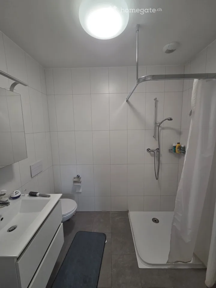 Modern studio in Crissier – Chemin des Lentillières 13D