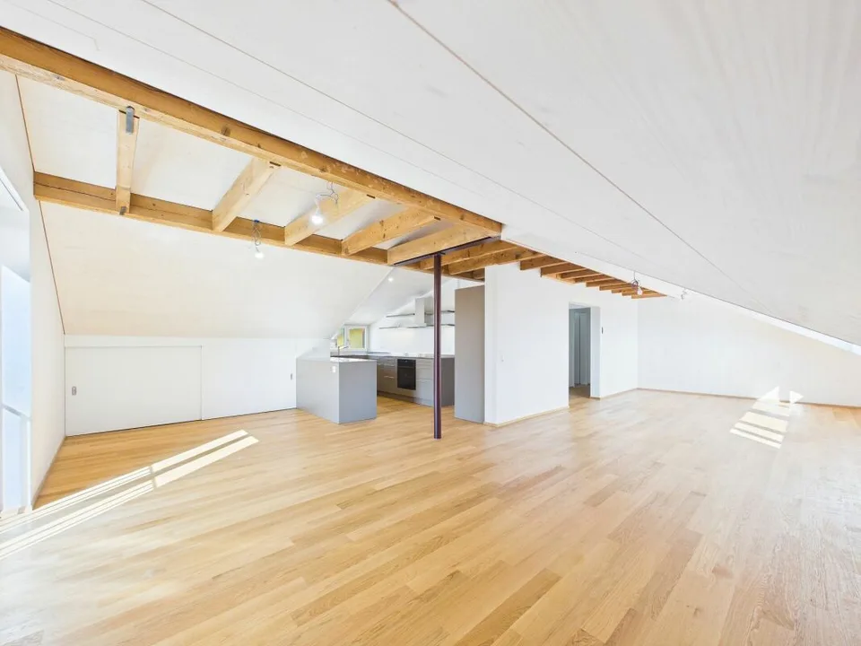 Sehr grosszügige, lichtdurchflutete, frisch renovierte Dachwohnung