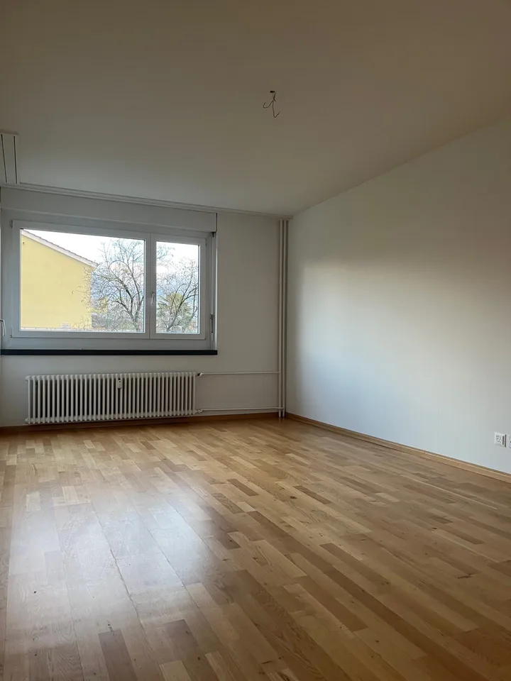 Vivre à Pratteln